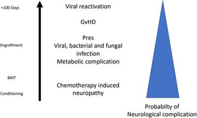 Pre-engraftment neurological impairment in allogeneic stem cell transplant: A case report of atypical posterior reversible encephalopathy syndrome with pontine involvement
